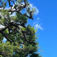 曹溪寺🌳清幽寧靜 