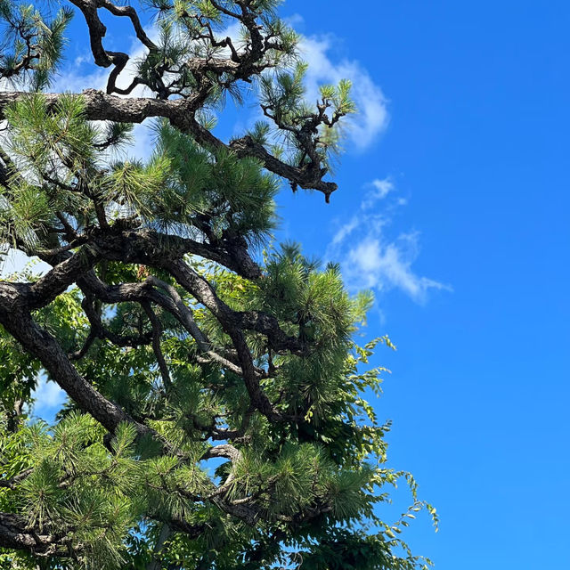 曹溪寺🌳清幽寧靜 