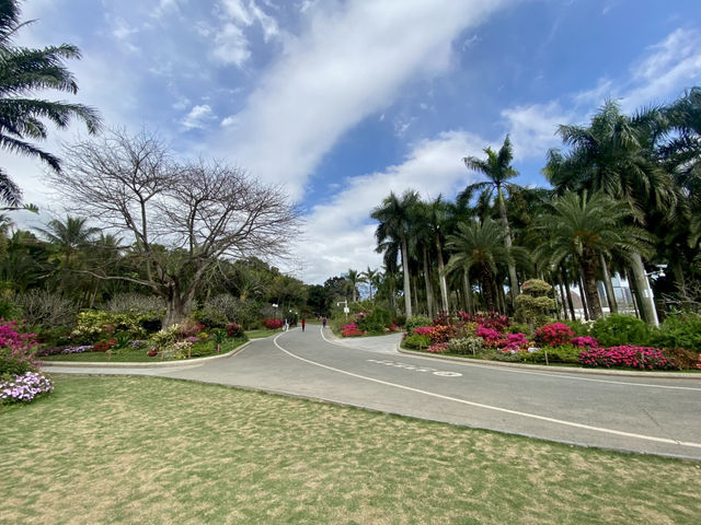 深圳花花世界💕🪷蓮花山公園🌟
