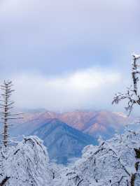 한국에 있는 진정한 겨울왕국 ❄️