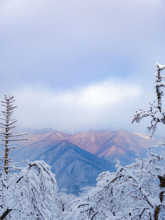 한국에 있는 진정한 겨울왕국 ❄️