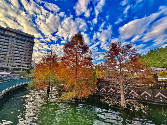 日月潭養生樂活二日遊