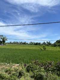 Discover Kuta Lombok on Two Wheels 🌿🏍️