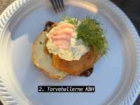 1 day trip in Copenhagen
