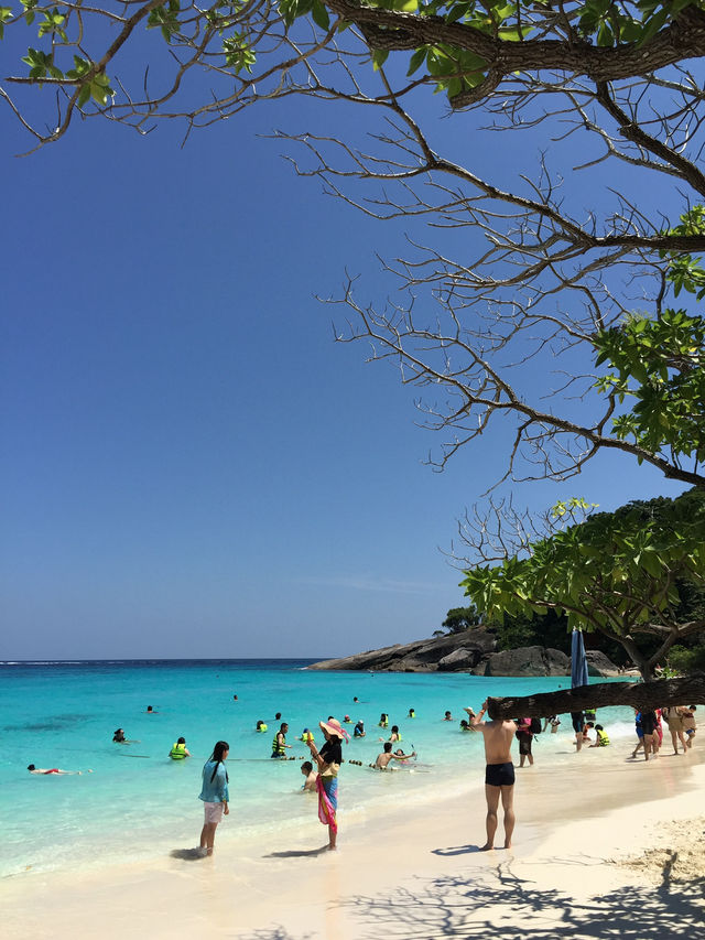 เกาะสิมิลัน น้ำใสทะเลสวย ดำน้ำฟินสุด