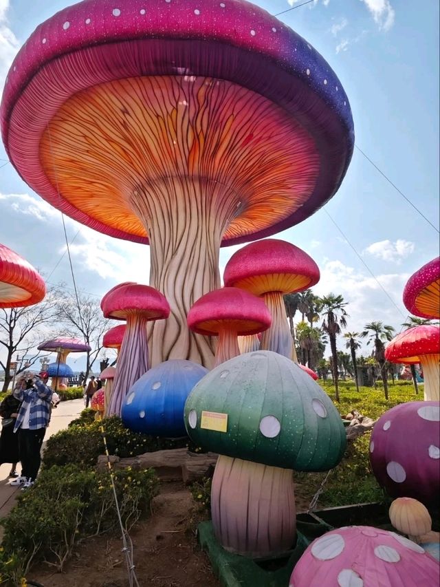 Kunming: The Vibrant Spring City of Yunnan