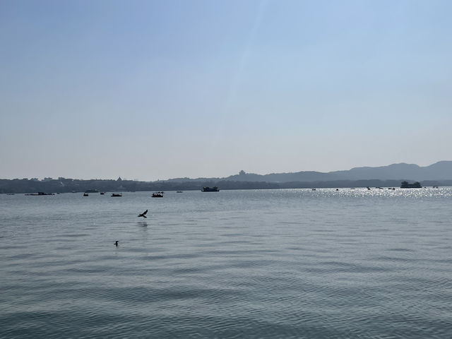 🏞️ **【杭州西湖與斷橋：詩意與浪漫的交匯】** 🌸  