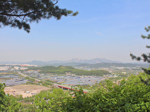 💛서울 근교 야외 데이트 장소 추천, 고양시 행주산성💛