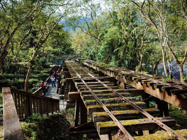林田山林業文化園區