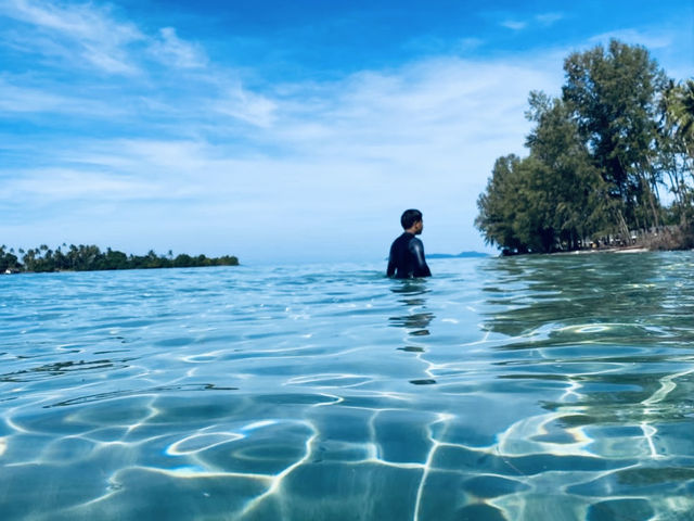 ดำน้ำดูปะการังเกาะกูด—ใต้ทะเลที่สวยจนหยุดหายใจ