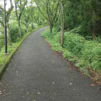 Funaoka Castle Park (船岡城址公園)