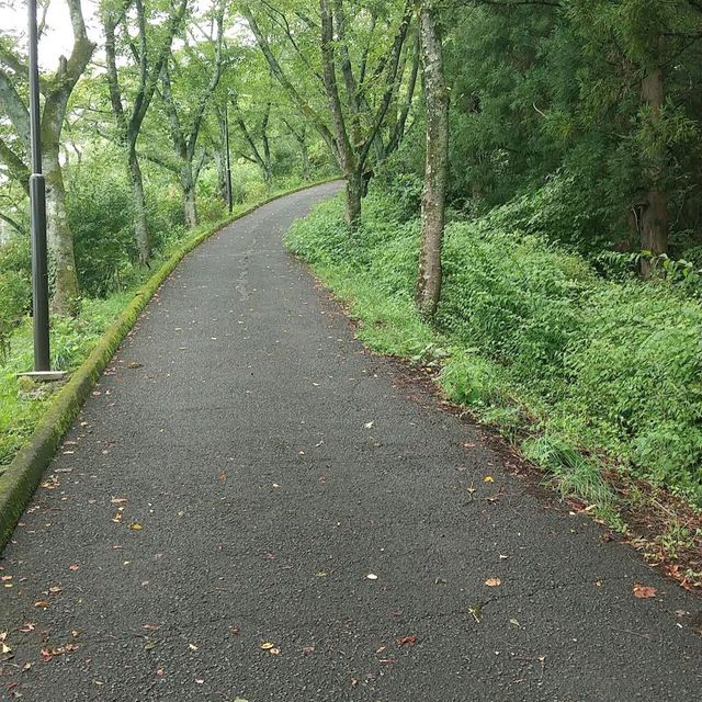 Funaoka Castle Park (船岡城址公園)