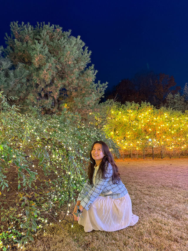겨울에 가기좋은 포토스팟✨