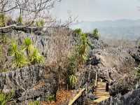 ภูเขาหินปูนคล้ายปะการัง