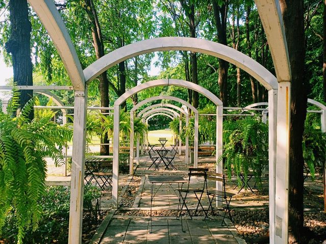 泰國曼谷湄南河畔博物館寺廟綠洲公園一日遊行程，適合親子遊打卡拍照📸