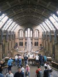 🦖 Visiting the Natural History Museum, London – Essential Tips!