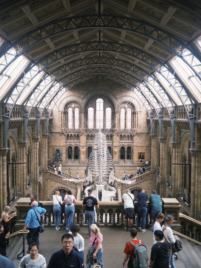 🦖 Visiting the Natural History Museum, London – Essential Tips!