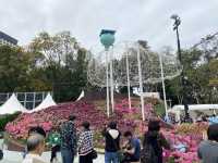 🌷香港2025超大花展又來啦🎀🌸