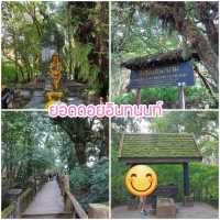 แพลนเที่ยวดอยอินทนนท์ 
