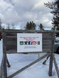 A visit to the Magical Reindeer Encounter in Lapland