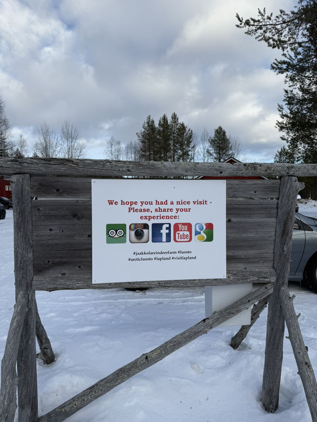 A visit to the Magical Reindeer Encounter in Lapland