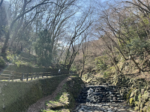 岐阜🇯🇵養老の滝
