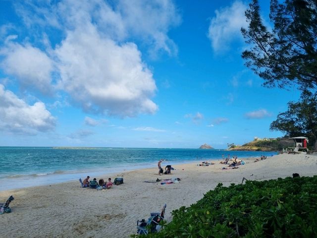 オアフ島南部の海岸道路をドライブで絶景を堪能する一日旅