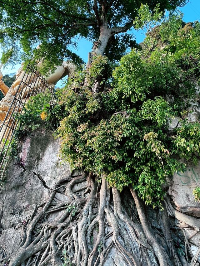 “Batu Caves: A Breathtaking Spring Spot”