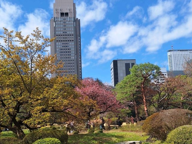 新宿御苑