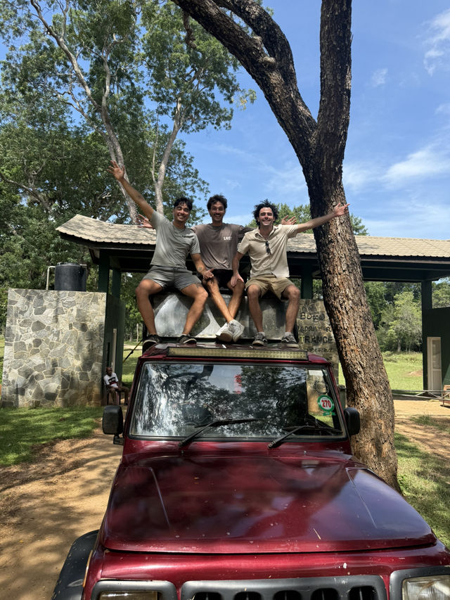 Yala’s Gala of Wildlife