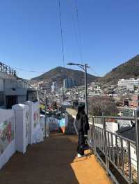 당일치기인듯 아닌듯 한 여수여행 정보 공유 + 여행코스정리