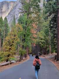 Yosemite: A Year-Round Wonderland, Day and Night!