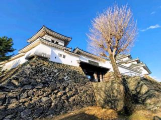Wakayama Castle, a great day trip destination near Osaka.