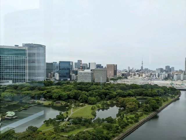 爽やかな緑と水辺が広がる最高の眺望！ホテルでリフレッシュしませんか？