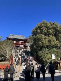 ⛩️ 鎌倉観光の定番！鶴岡八幡宮 & 小町通り食べ歩きガイド 🍡