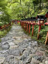 Spring Day Trip to Kifune Shrine🍃