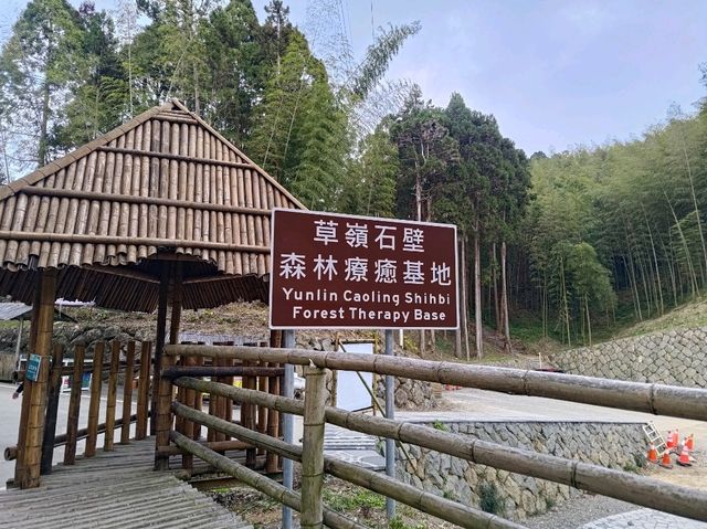 雲林古坑景點-木馬古道看竹林
