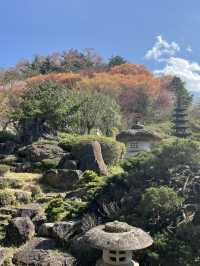【福島×春旅】開花シーズン中はマイカー規制 シャトルバスで・・
