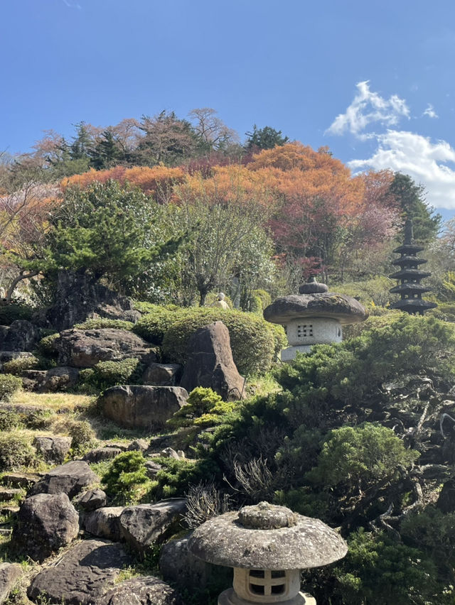 【福島×春旅】開花シーズン中はマイカー規制 シャトルバスで・・