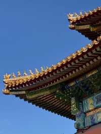🇨🇳Beijing Forbidden City Day Tour