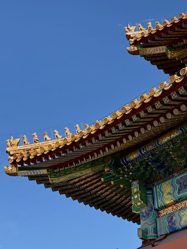 🇨🇳Beijing Forbidden City Day Tour