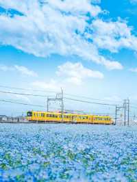 🇯🇵日本の夏限定・風鈴まつり特集🎐