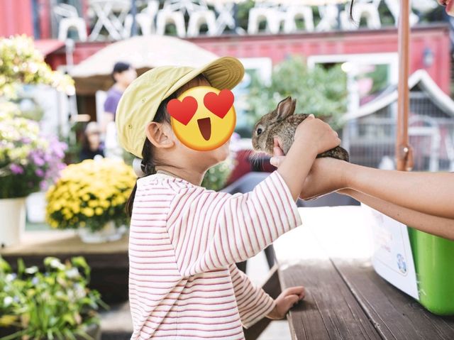 제주도같은데 제주도 아닌 곳