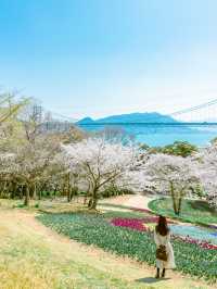 【山口】春の下関おすすめ観光ルート！