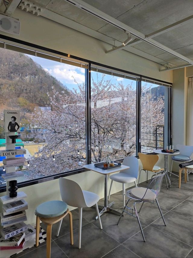 벚꽃엔딩전 가봐야할 낭만가득 밀양카페🌸