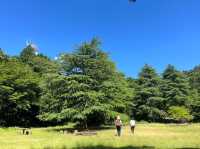【三重の多度山ハイキング】