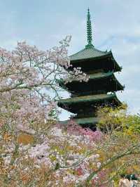 心がふわりとほどける時間。任和寺で出会うバイオリンと仏の響き