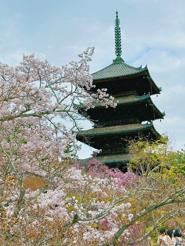 心がふわりとほどける時間。任和寺で出会うバイオリンと仏の響き