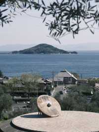 🌊日本高松｜小豆島🏝️橄欖島嶼