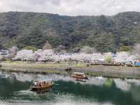 曰本文化味濃的世外桃源~岩國市錦带橋